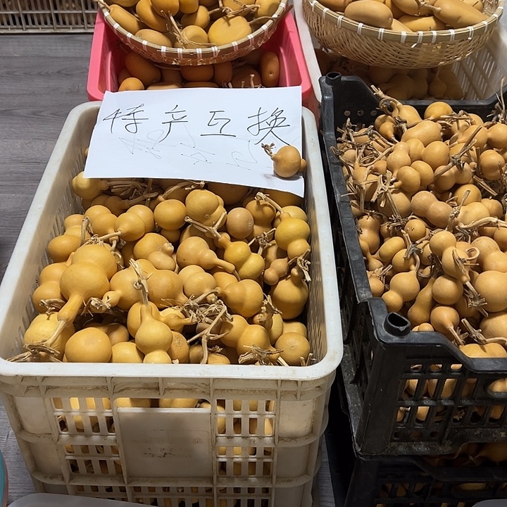 ****z文玩小葫芦一物一拍