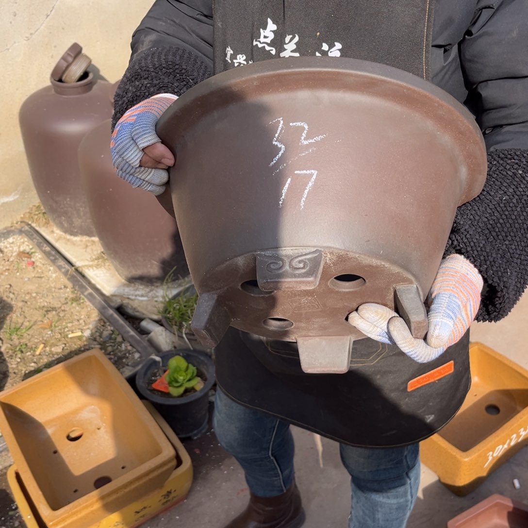 紫砂花盆盆景艺术