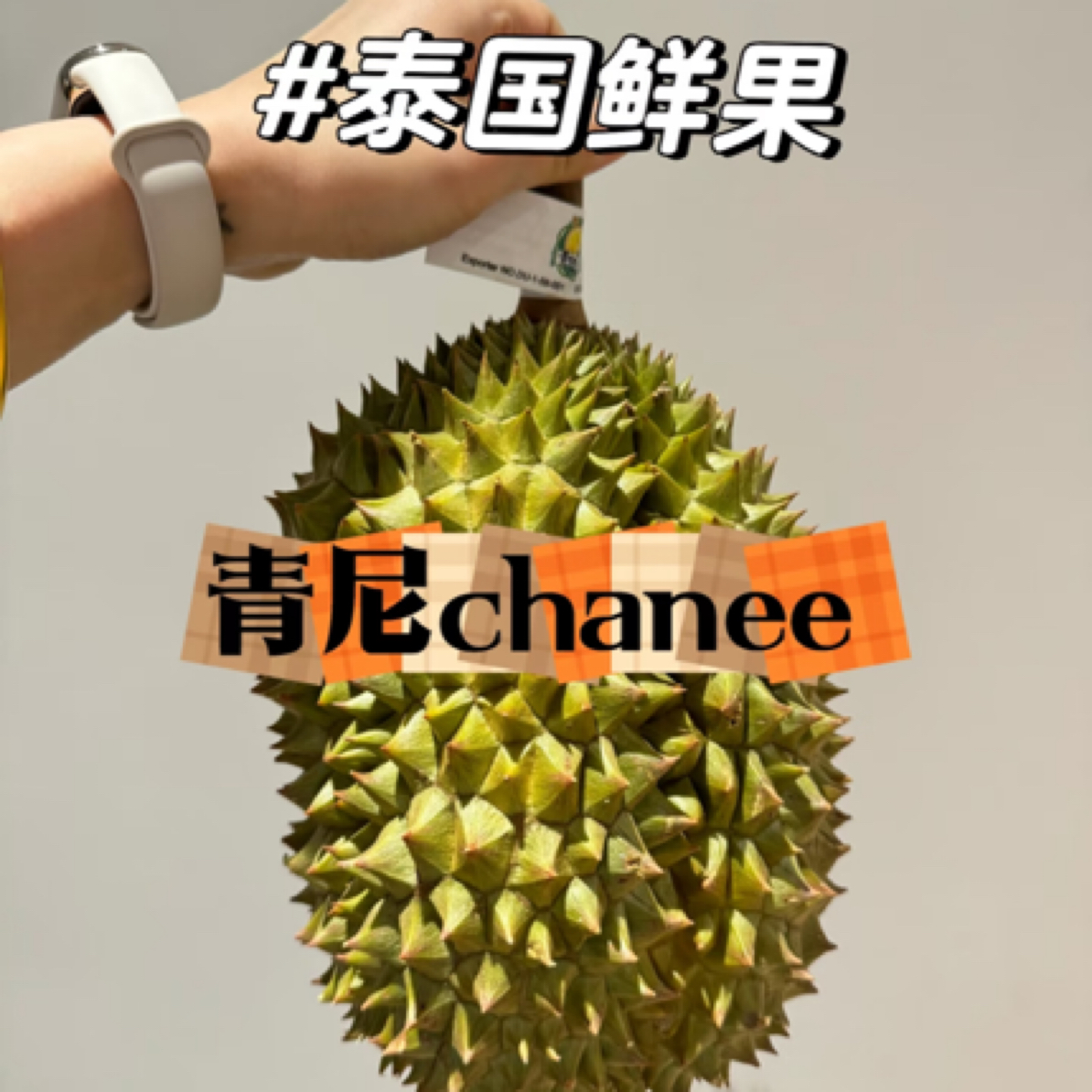 【一物一拍】青尼鲜榴莲 核大干苞黄肉 软糯 3斤起运输10%干耗