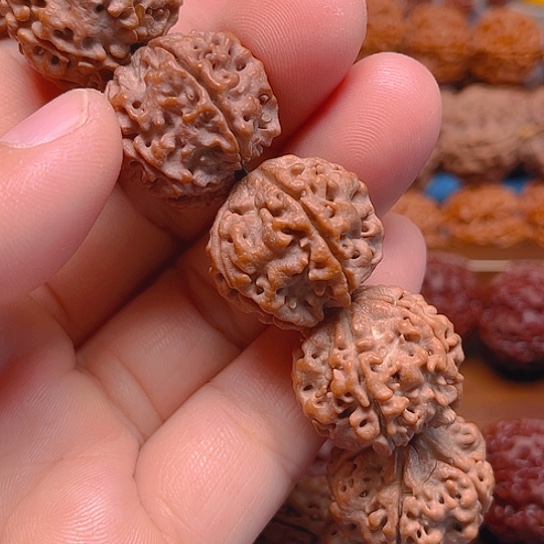 手串金刚菩提v501/22/5