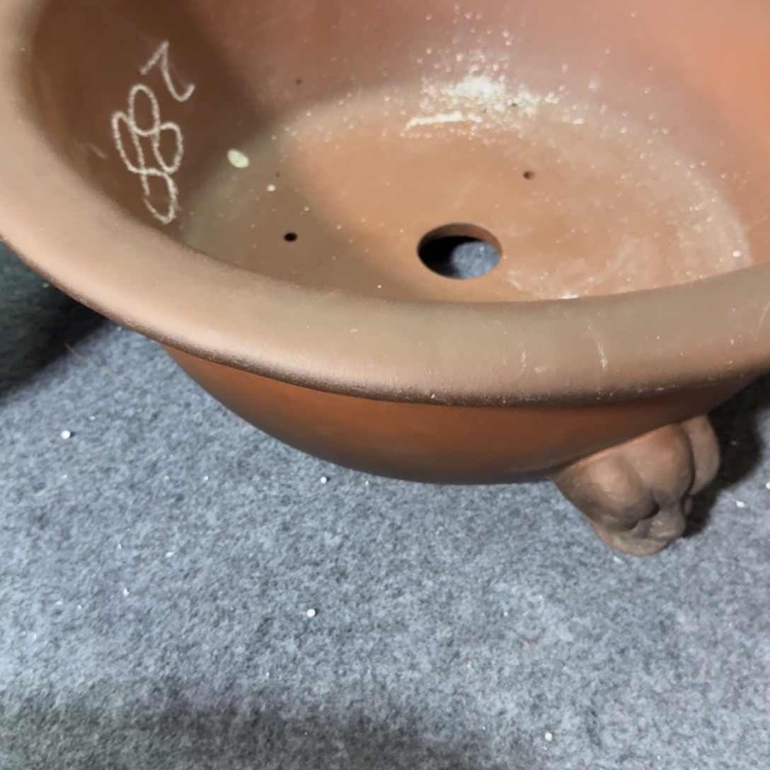 兽角圆盆。 呜呜呜呜呜呜 