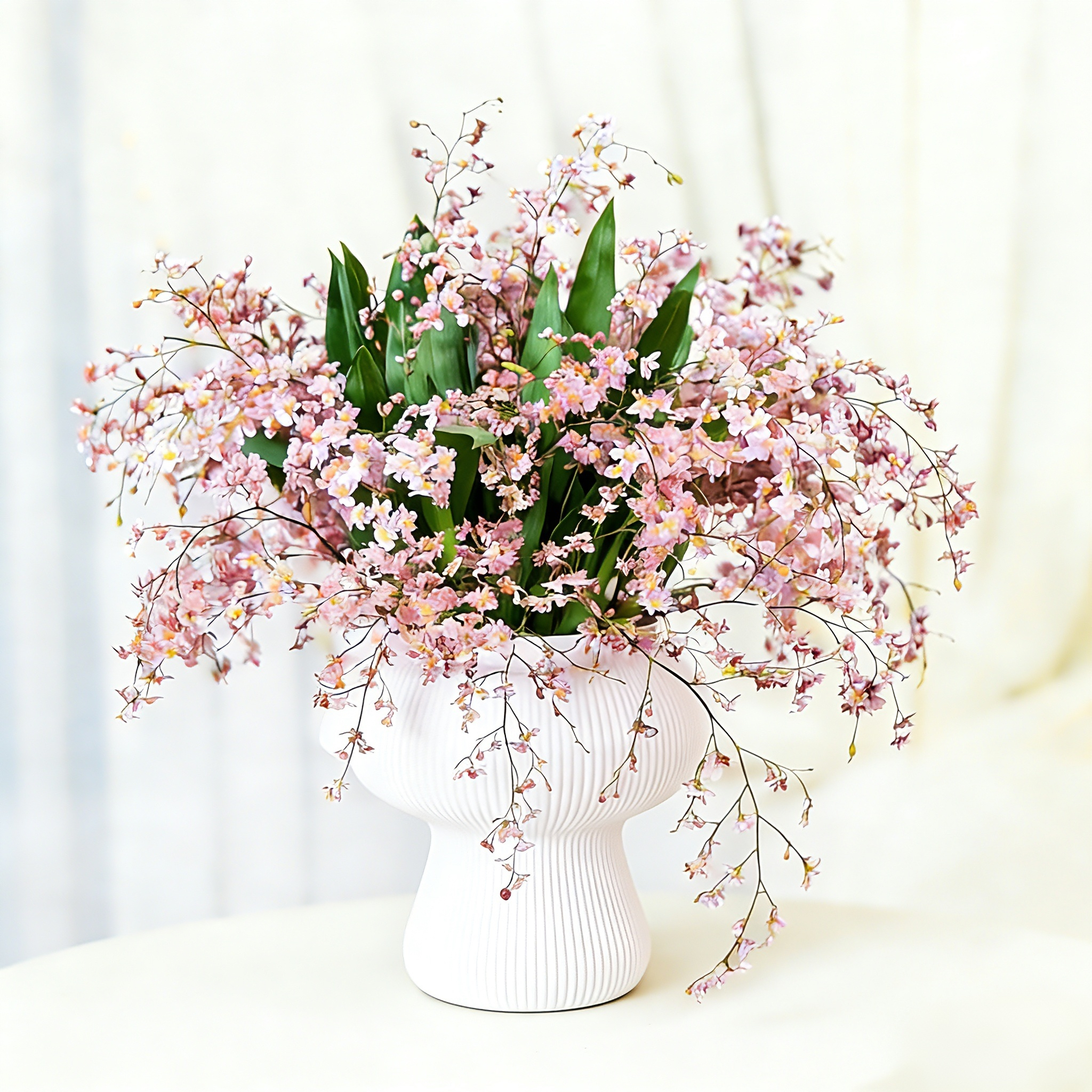 【京东快递】粉色10-15支花剑带蘑菇盆梦香兰盆栽精品兰花名贵花卉