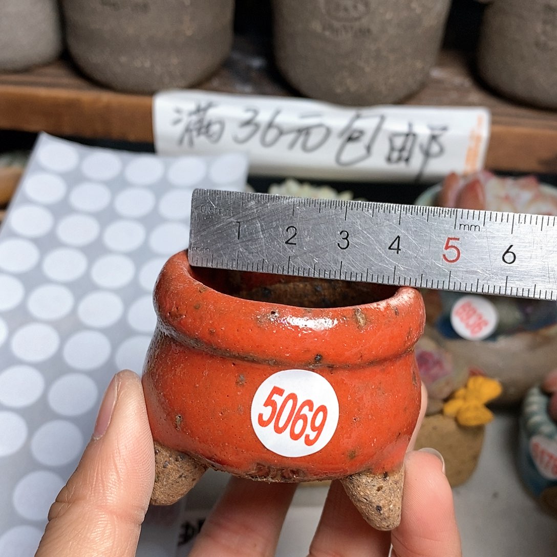 红陶拍5送一个小