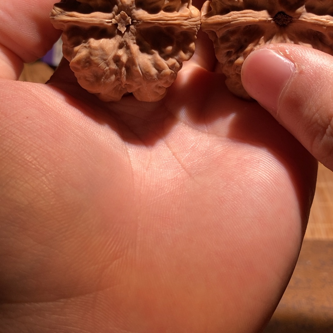 /***时吊坠文玩核桃蛤蟆头D25