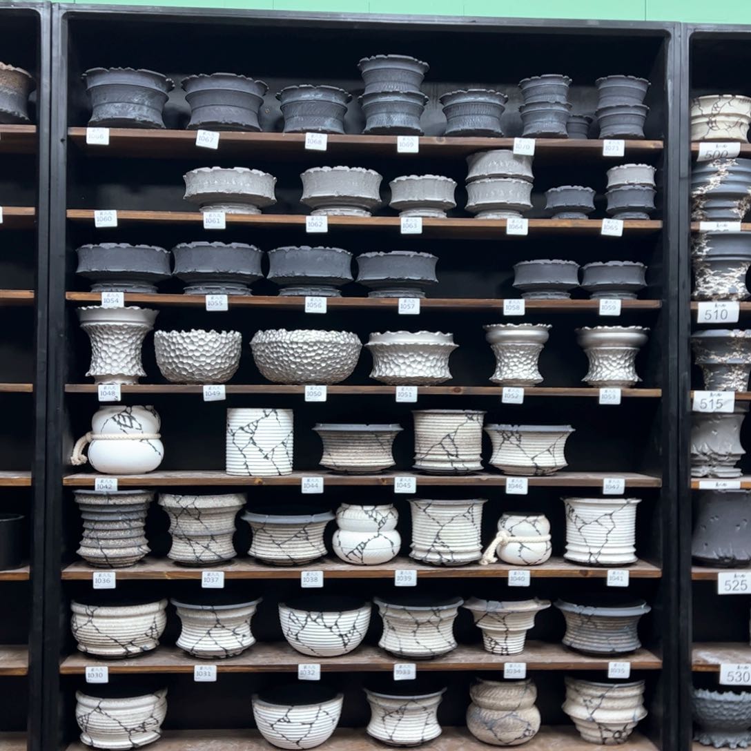 有喜欢的把编号打在公屏