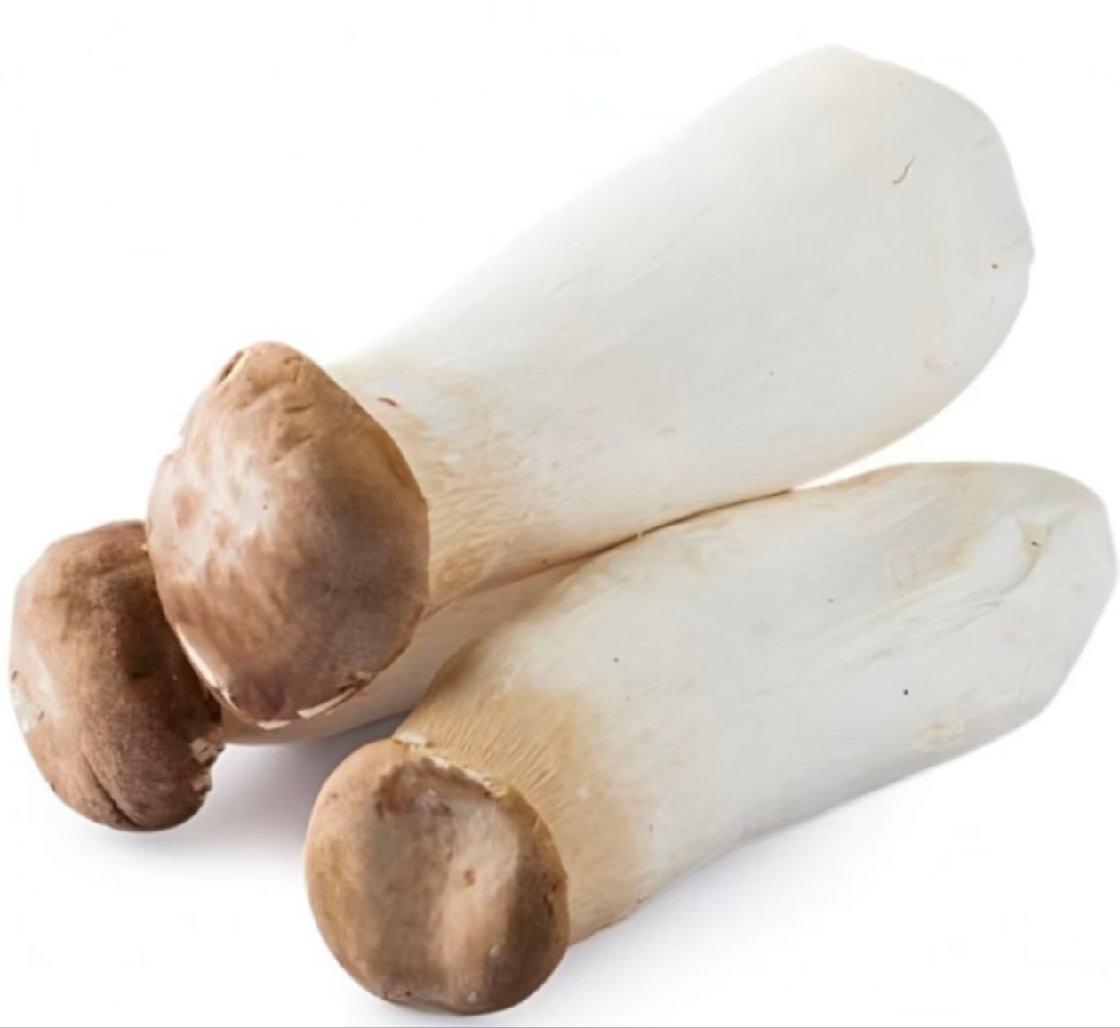 杏鲍菇（称重）500g±50g 1份/份