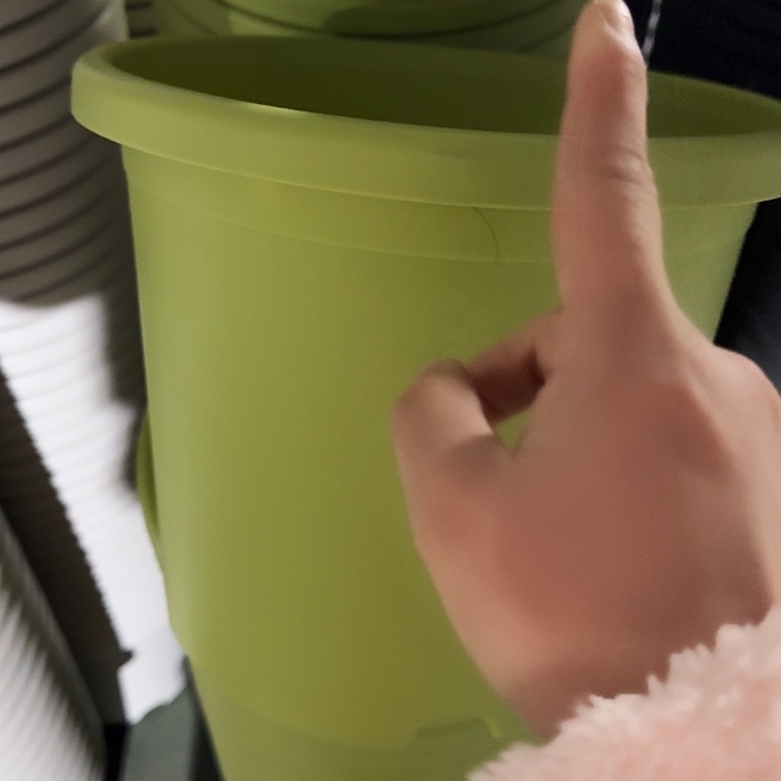 四季5号果绿无托10个特价