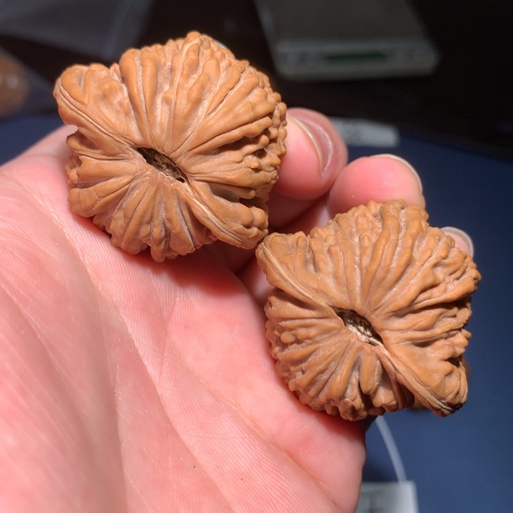 文玩核桃把件42平谷楼