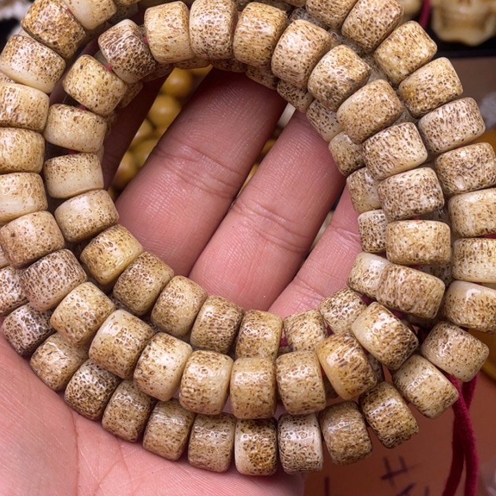 驼骨其他人工养殖