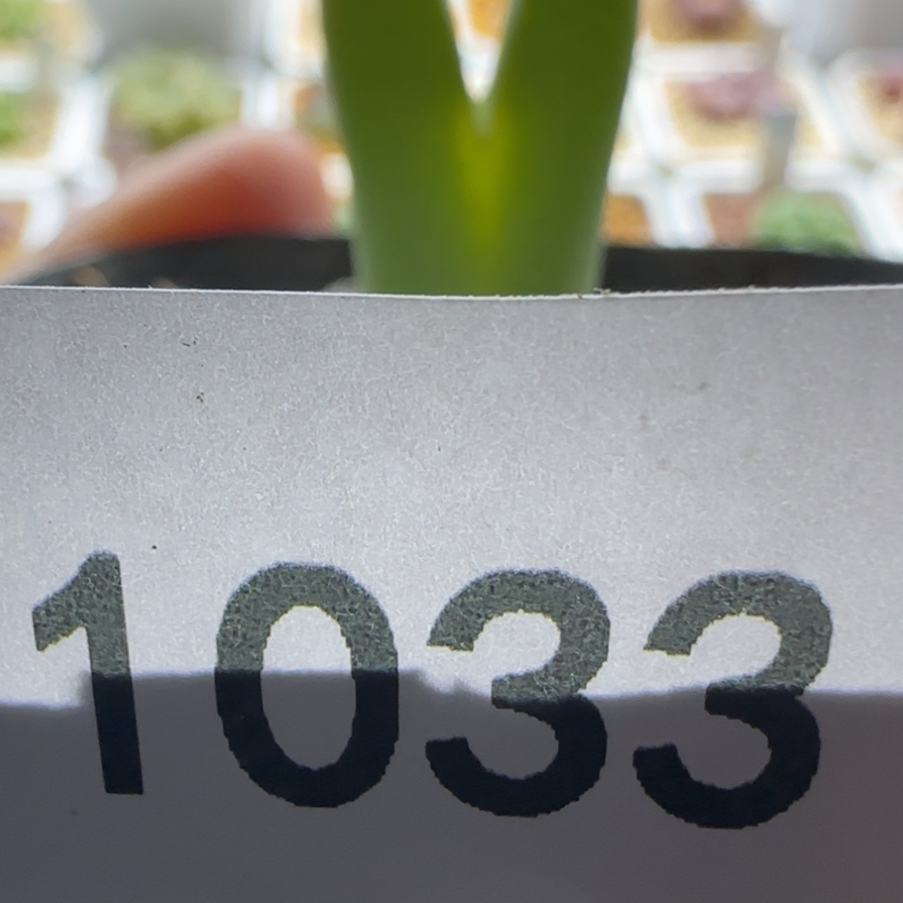 【闪购商品】?****?1033     