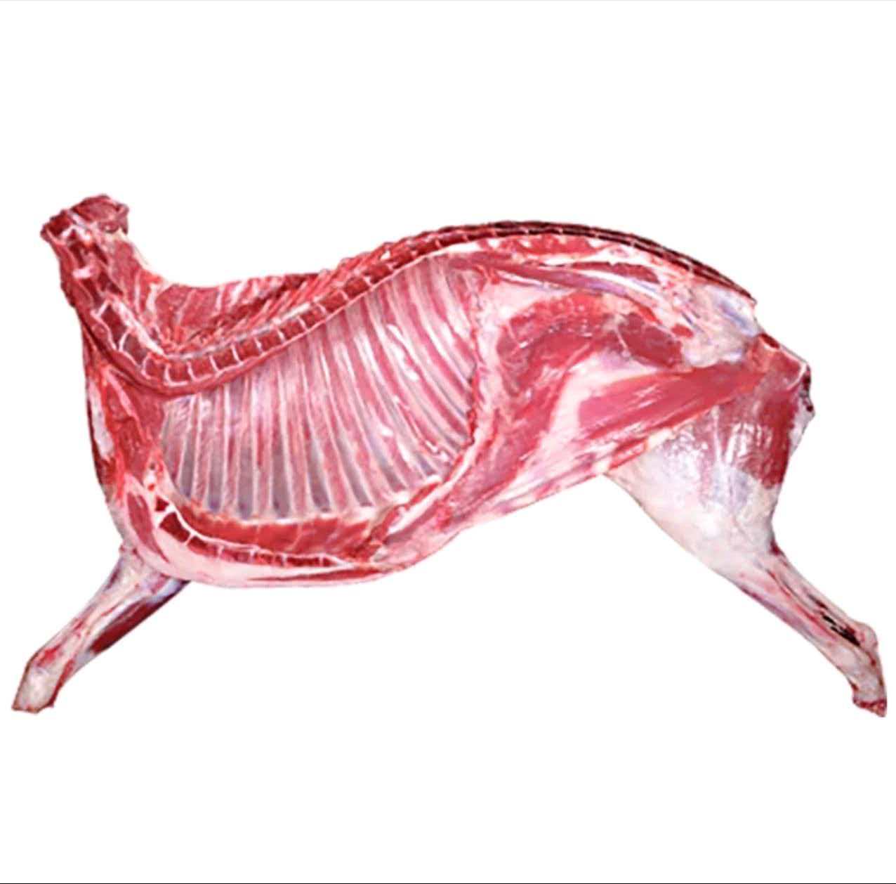 （直播间改价）固始本地山羊