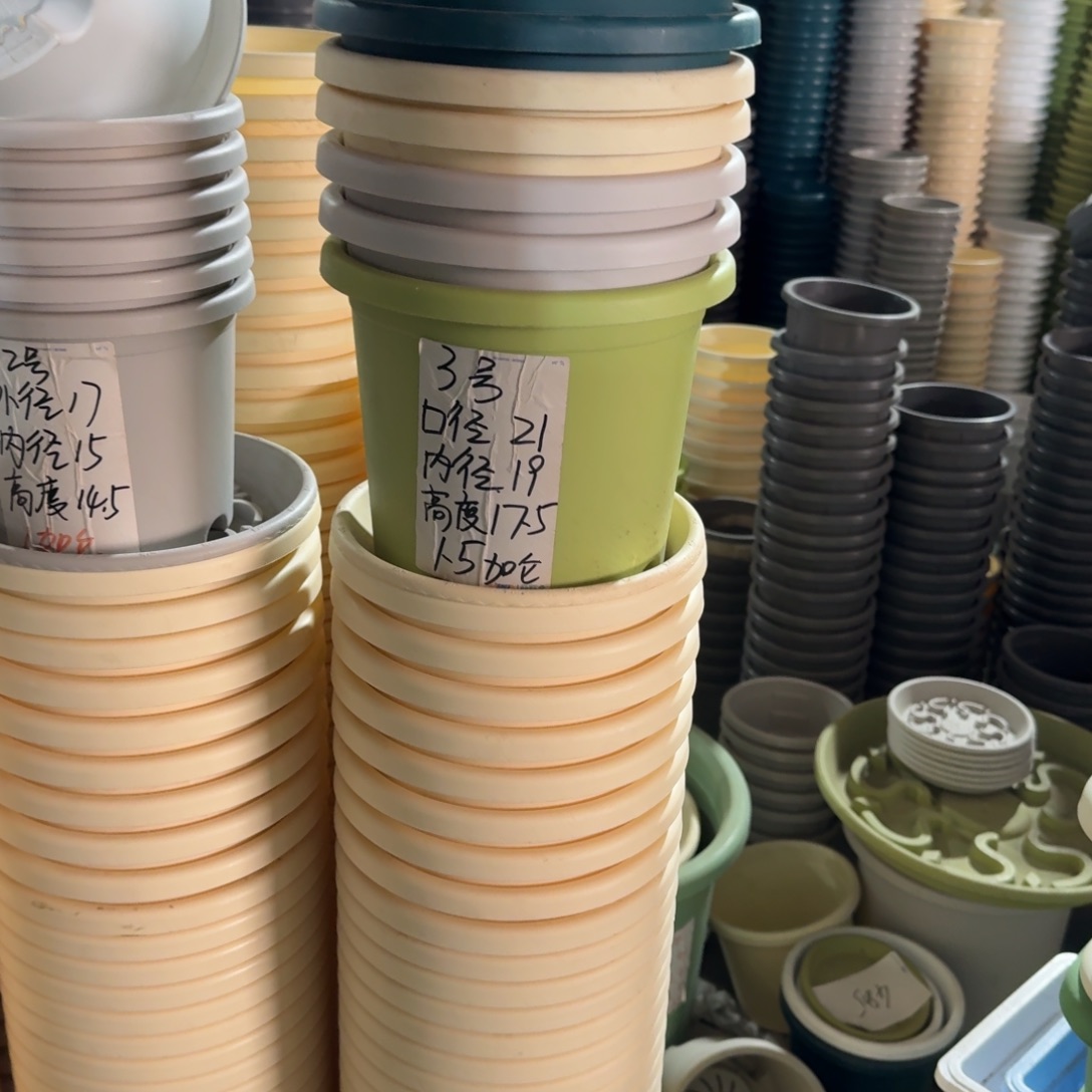 四季3#口径21无拖米黄50个