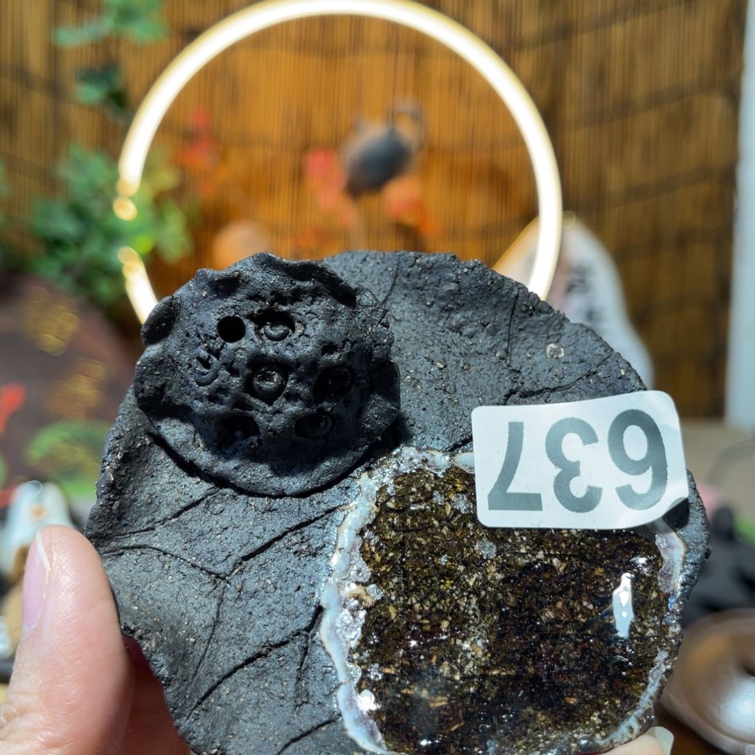 木村信弘柴烧保平