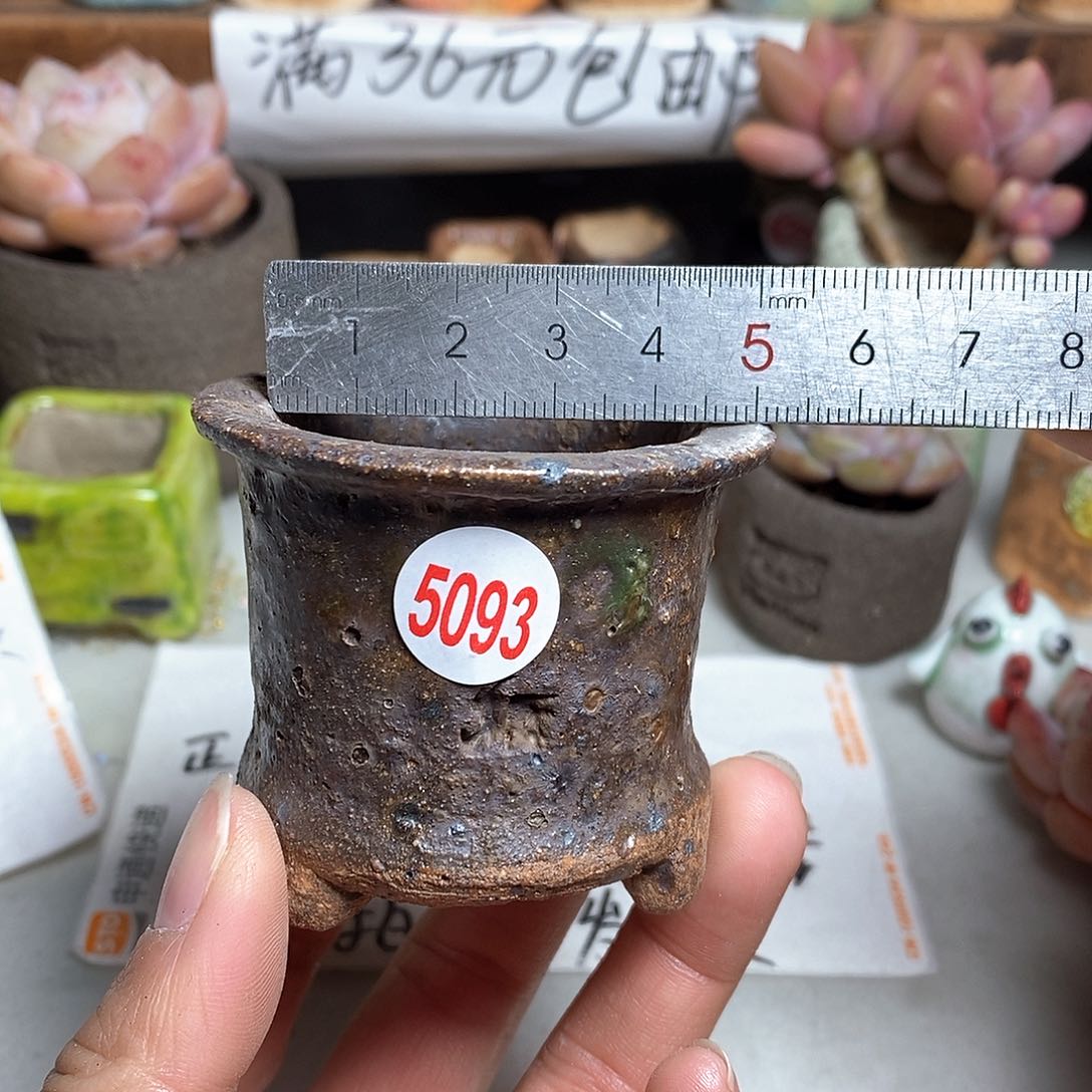 红陶拍5送一个小