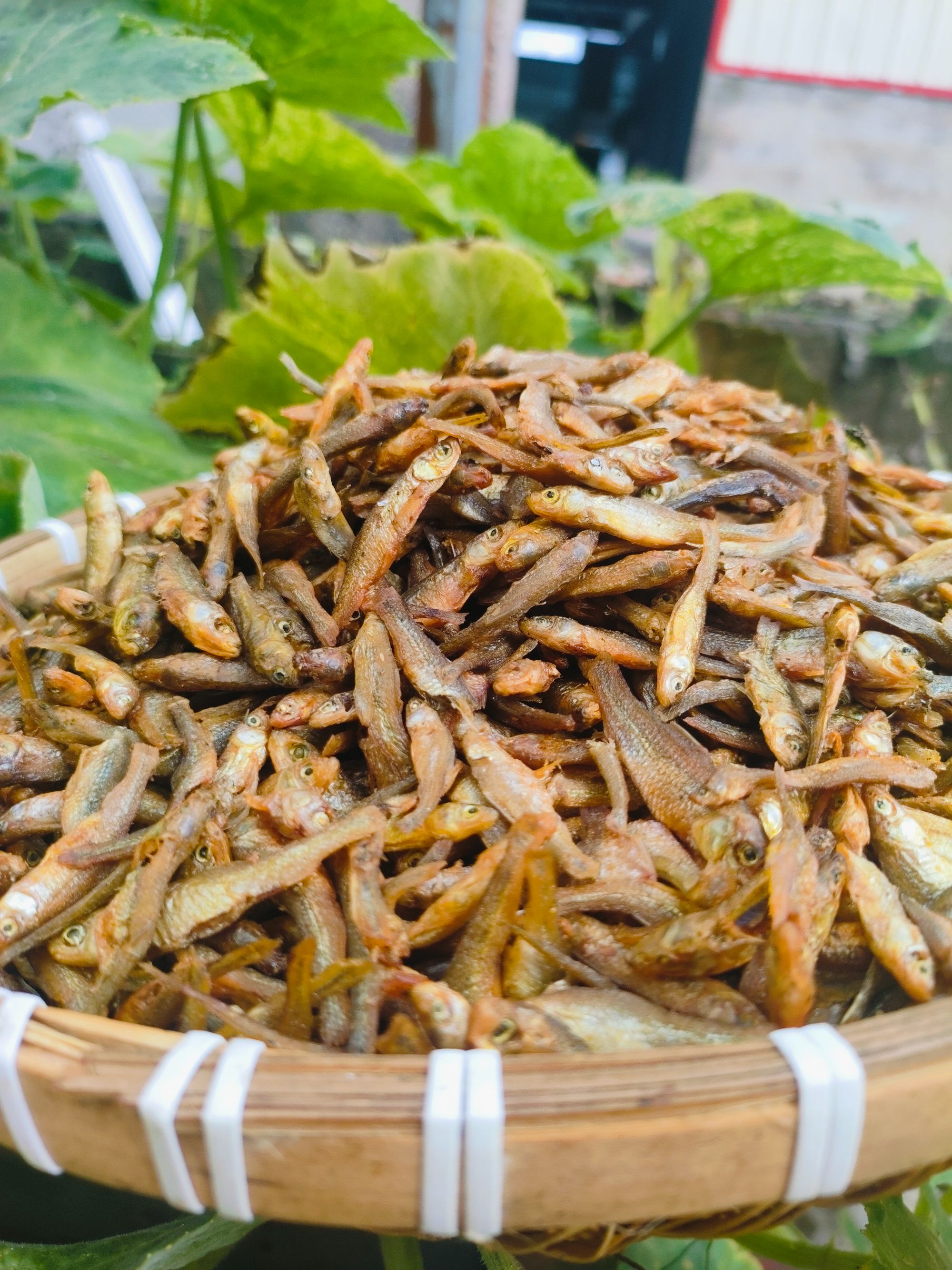 【助农优选】湖南淡水麦穗鱼小鱼干烟熏小鱼仔