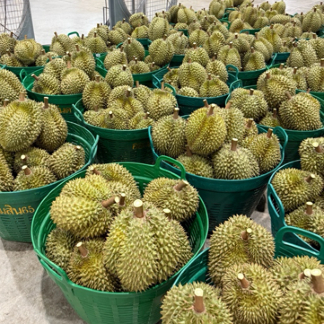 泰国新鲜金枕榴莲核小一果一重金枕泰国