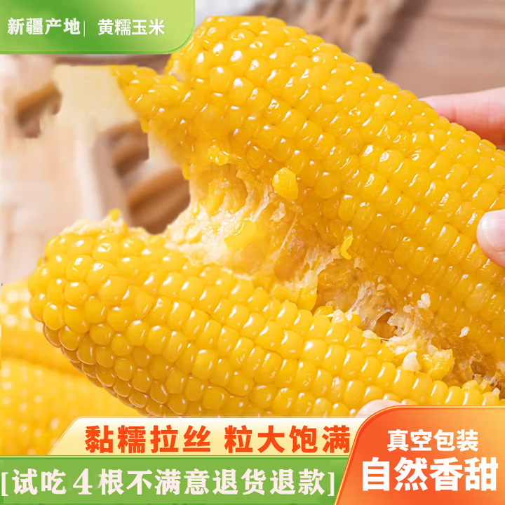 2025新疆头茬黄糯玉米新鲜非转基因真空包装粗粮10-12根【试吃4根】