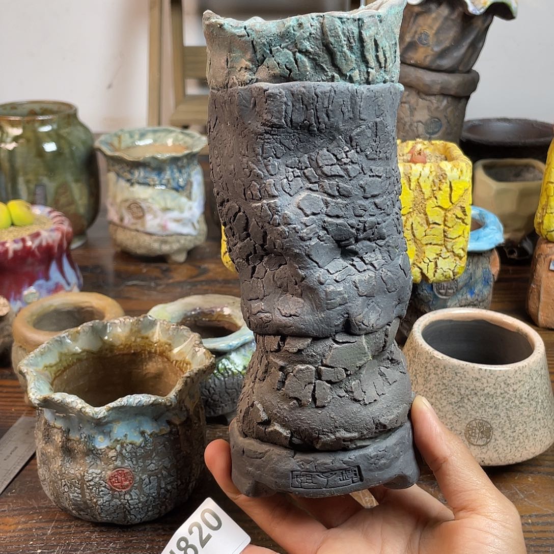 坛子姐花盆 双十二限时福利 默认微次