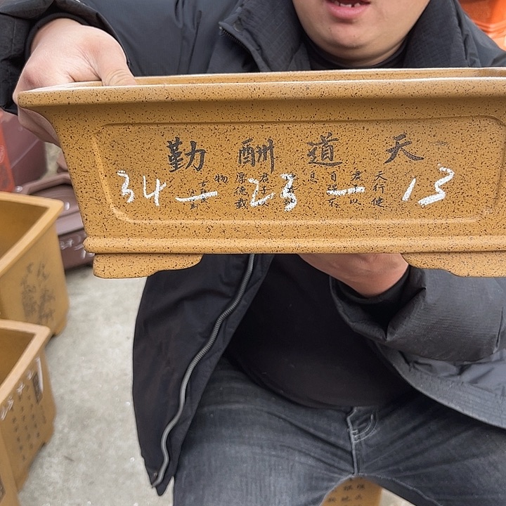 紫砂花盆紫砂花茶