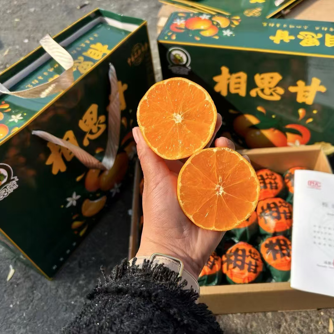 精品相思柑 皮薄多汁果甜 新品种礼盒装 好吃又好看的柑橘 明日见 四川产 4斤/12斤