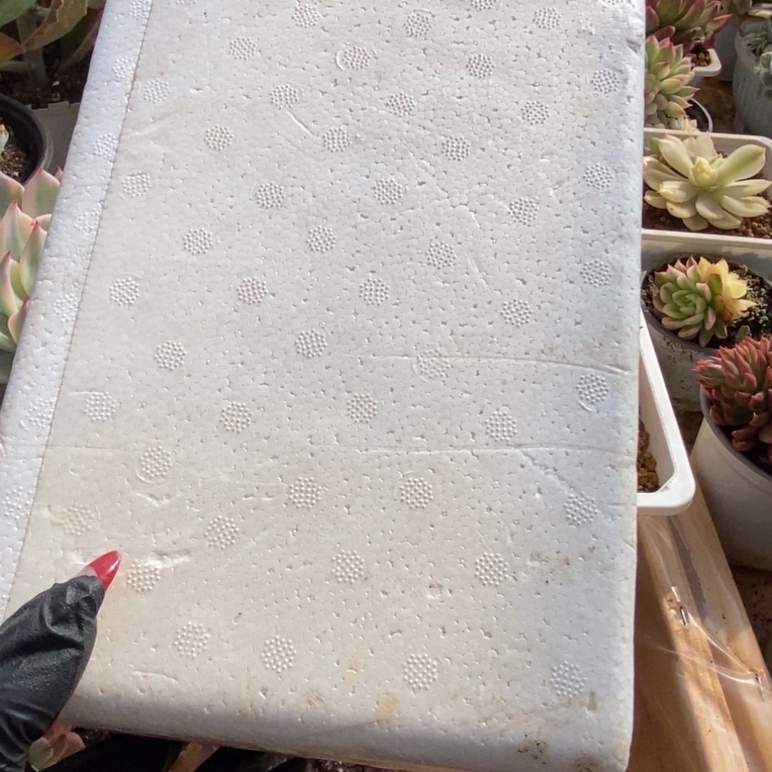 清*保温箱0度左右必拍