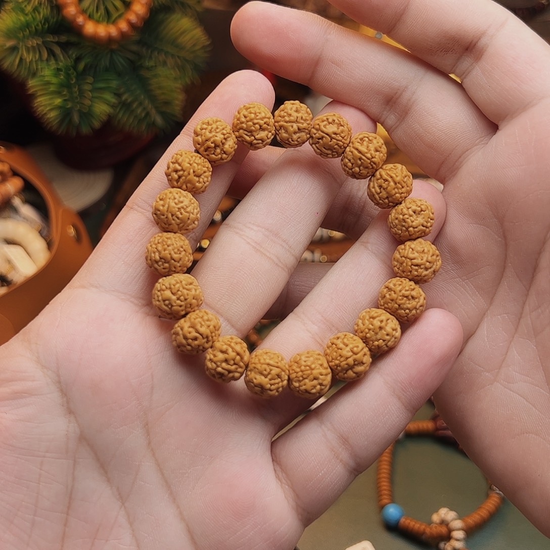 手串菩提根/象牙果
