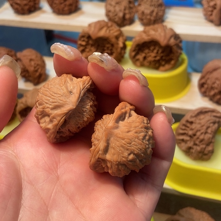 官方网站发布消息显示