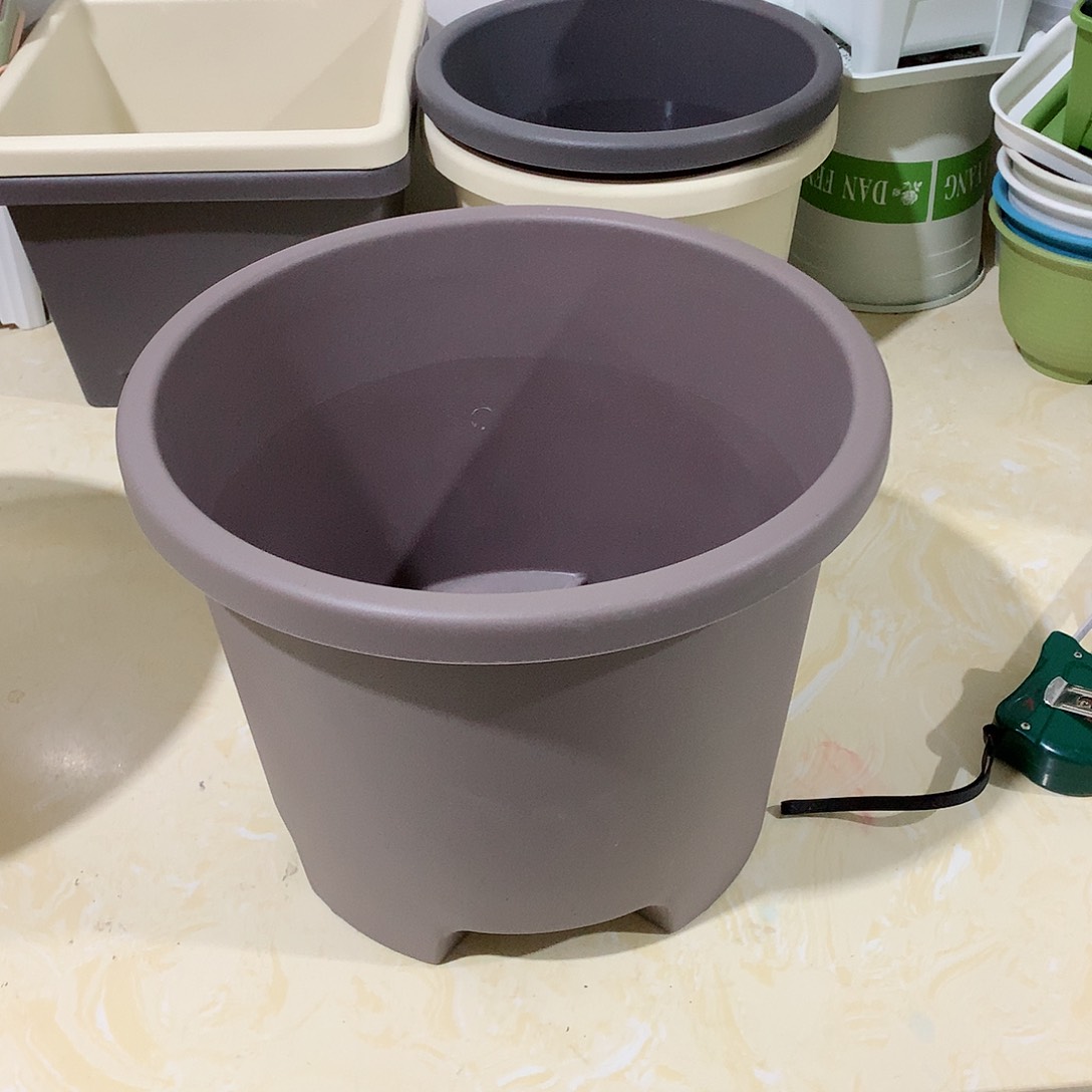 树脂球根口32咖色3个无托