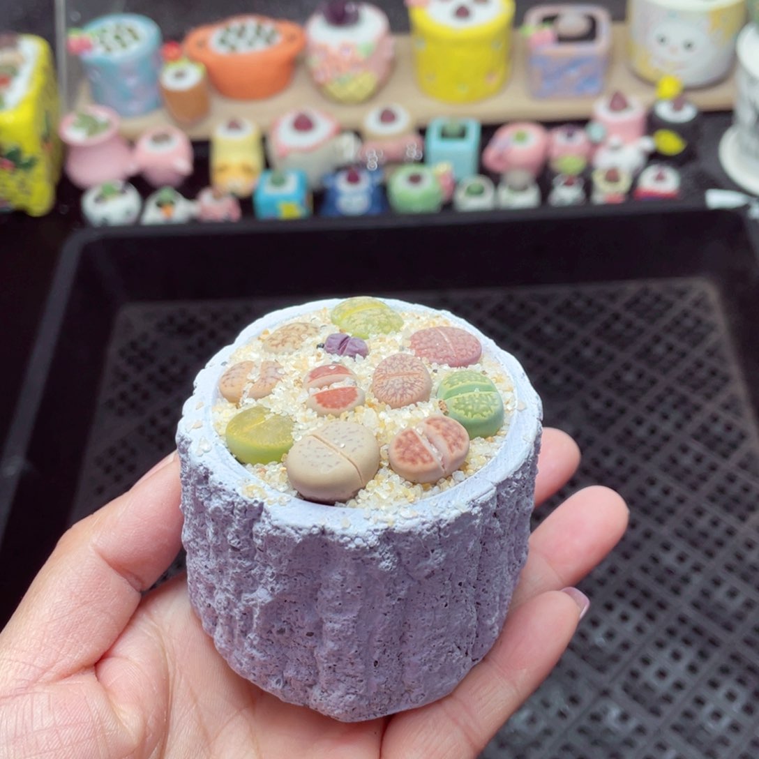 w9285 带盆土发货-零下地区拍保温箱