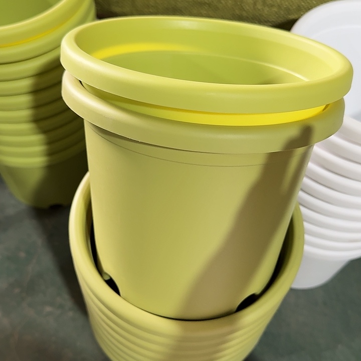 微瑕3#果绿10个无托