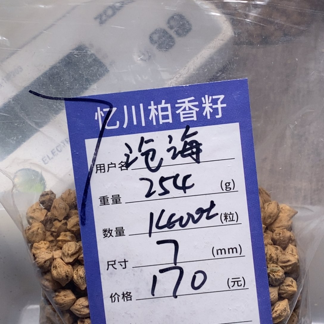 柏香籽/百香籽吊坠沧*