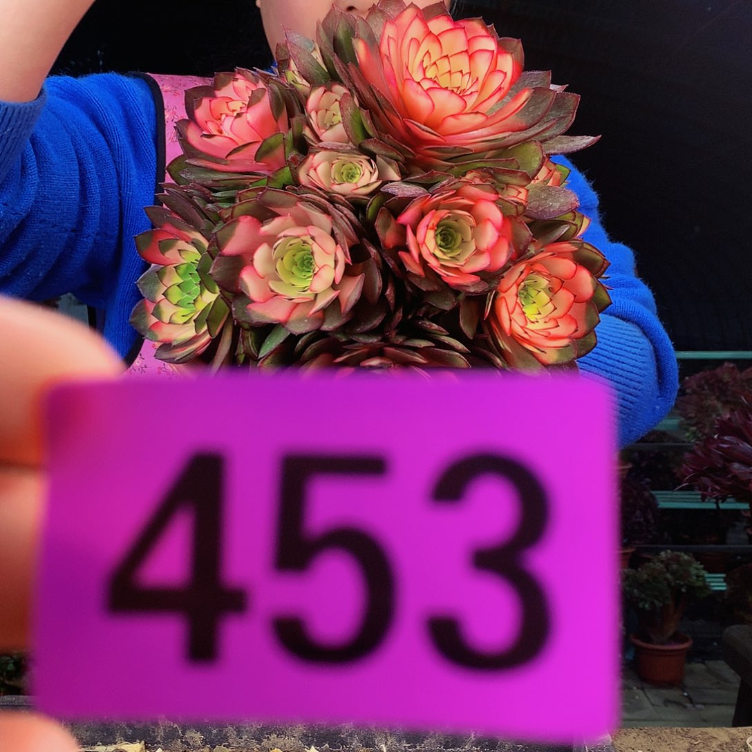 sssssssssssssssssssssss453