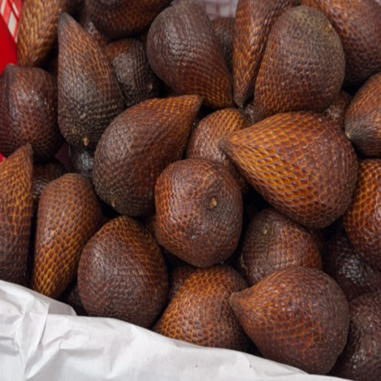 印尼进口蛇皮果1.5-3斤装顺丰包邮