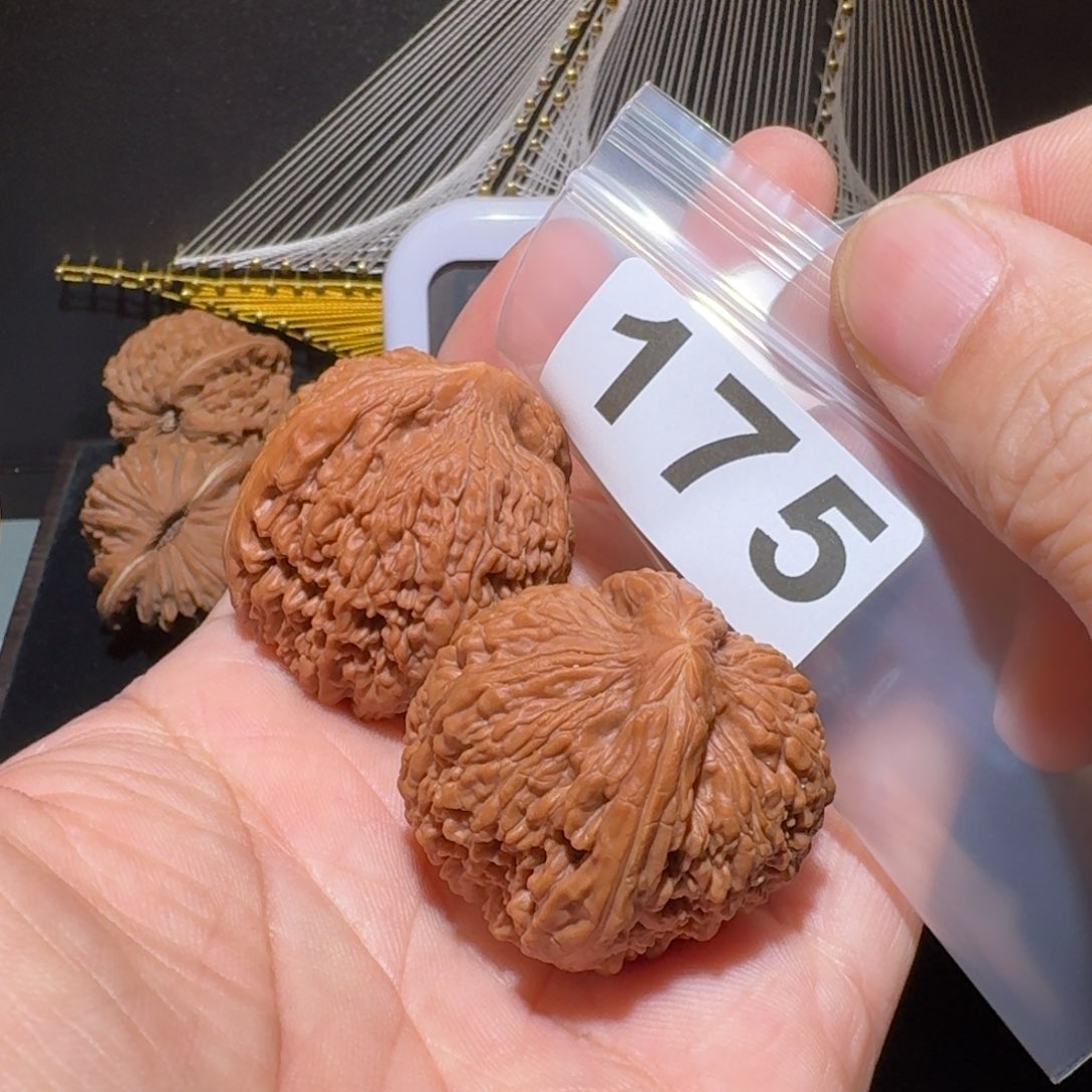 文玩核桃把件用****7蒜头36