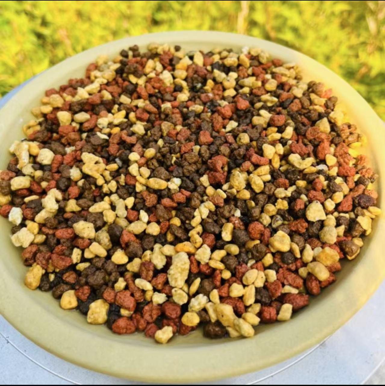 兰科铺面石专用颗粒促芽保湿透气干净美观