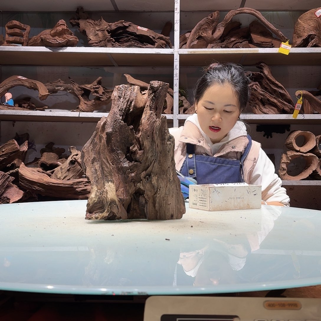 倍褚沉木不包损必褪色养**记5754