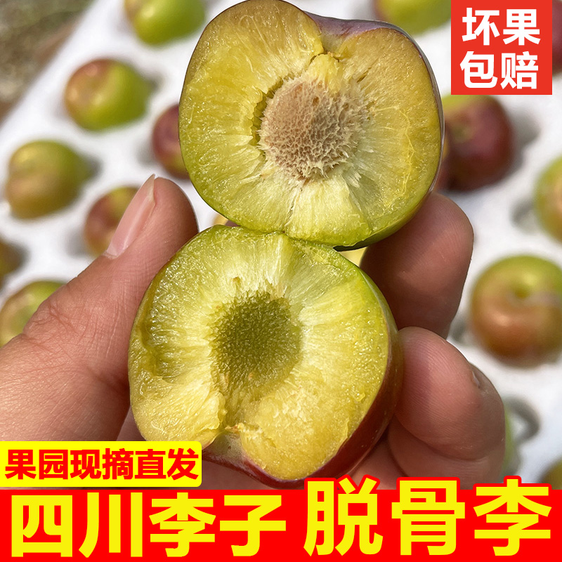四川脱骨李半边红茵红李果园现摘现发新鲜水果应季采摘李子