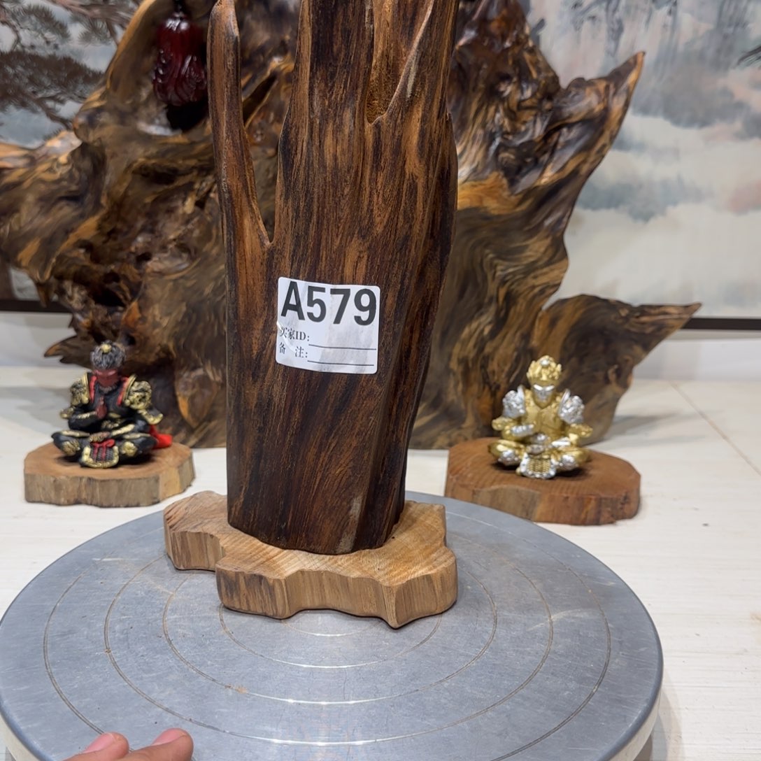 寂***桐木哦哦哦哦哦哦哦哦58