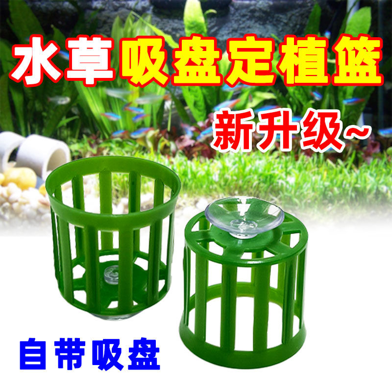 宠大条水草固定环吸盘定植篮水草定植绵装饰定植篮鱼缸造景养草杯
