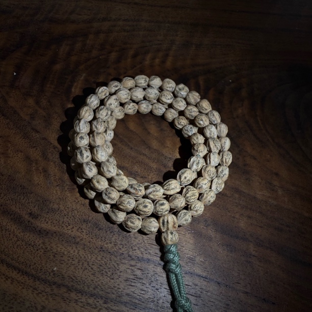 热振纯原龙脊霸王花