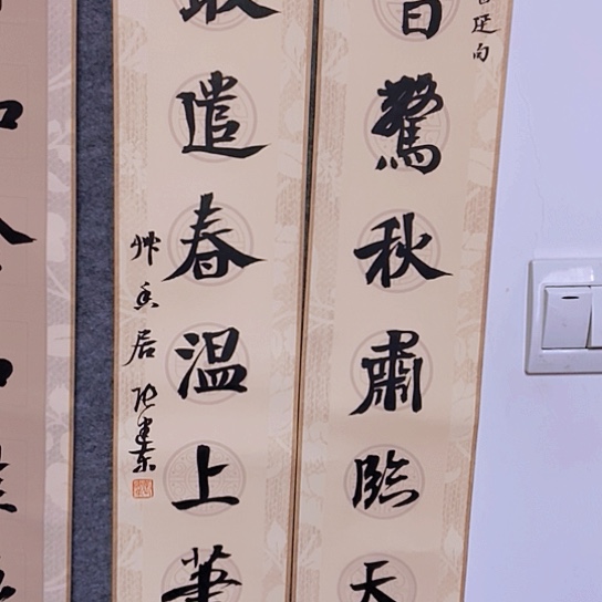 书法张建东老师书法作品
