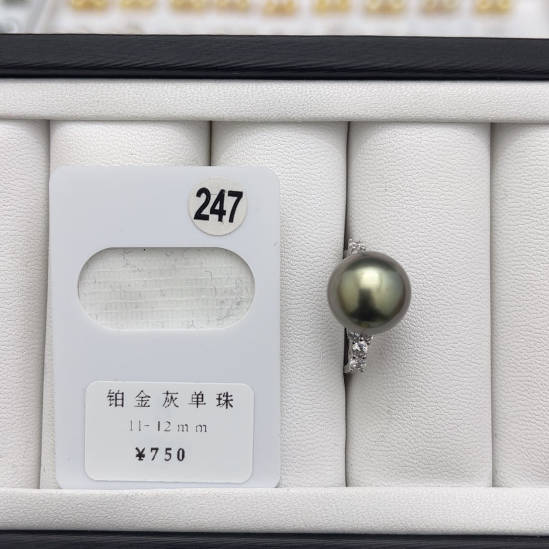 海水珍珠铂金灰11-12未镶嵌