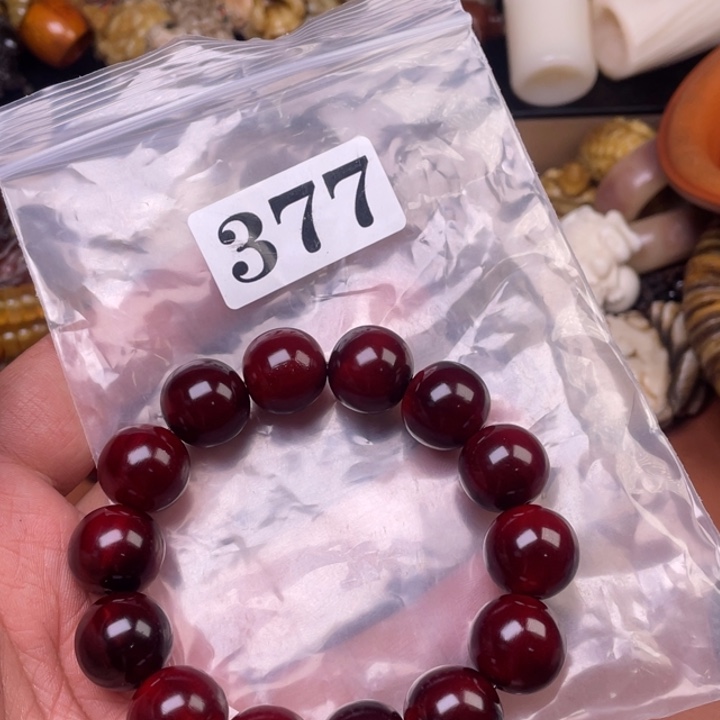 驼骨其他人工养殖