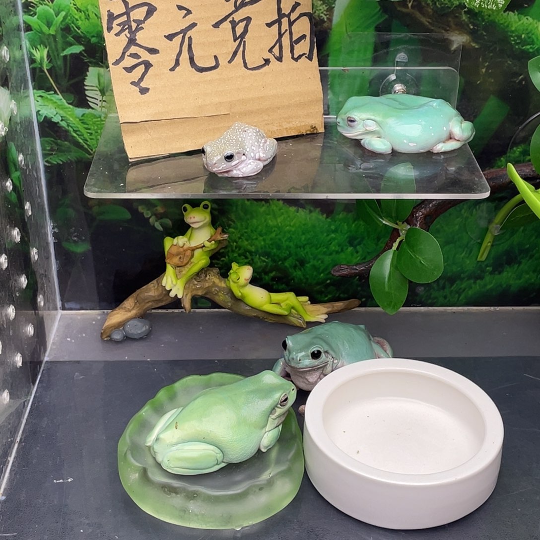 我***肝老爷树蛙2号加热包