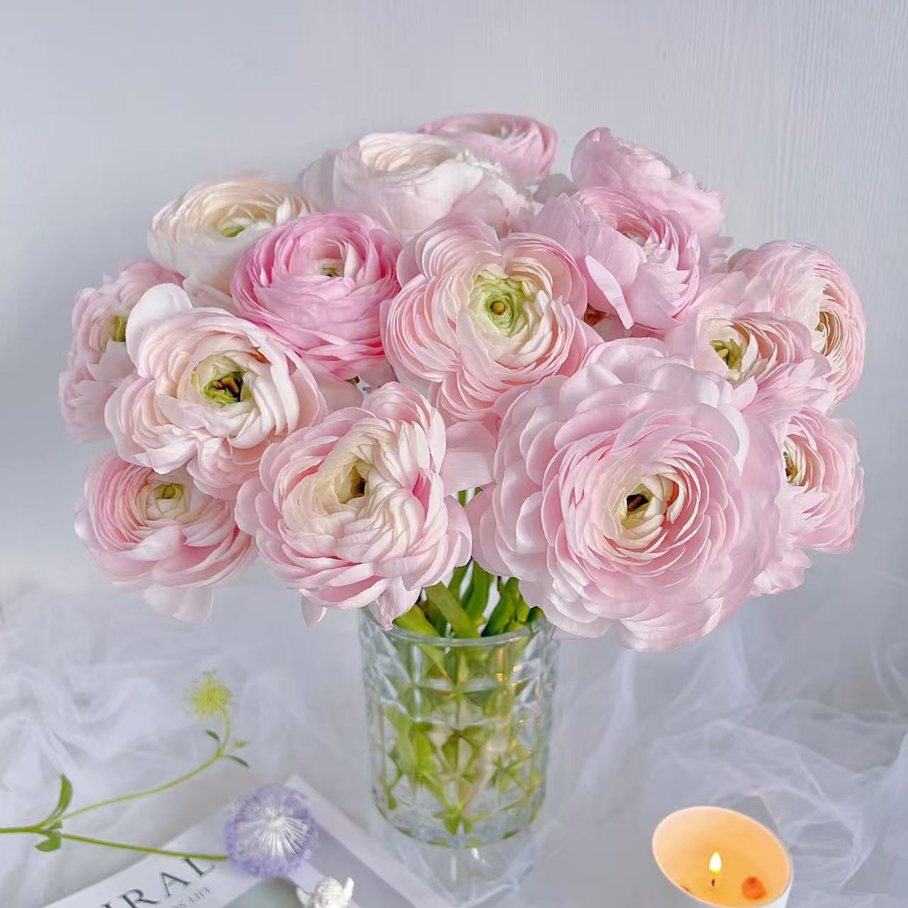 荷花酥洋牡丹 鲜花玫瑰 全场买两单及以上包邮 云南基地直发