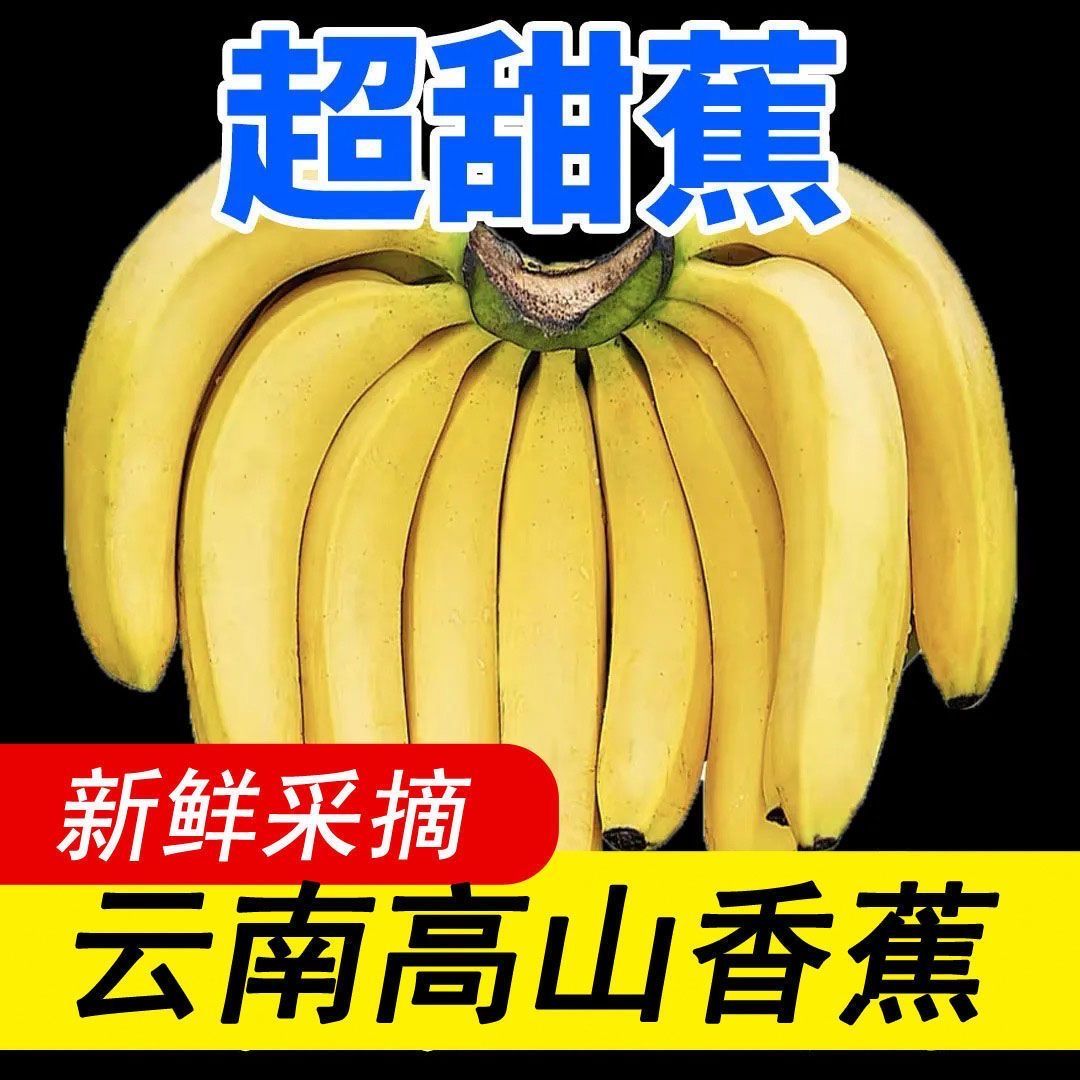 SJ【产地直发】当季新鲜香蕉自然熟软糯香甜薄皮水果