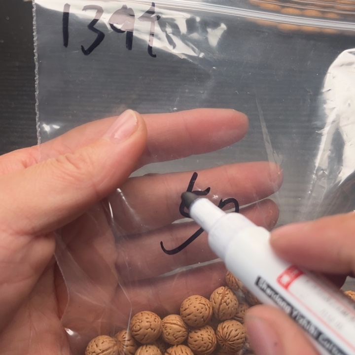 挖***哥文玩核桃吊坠散籽发货40福利款