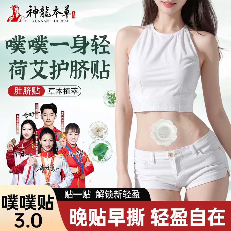 【南怀瑾配方升级】神龙本草荷叶艾草噗噗贴陈艾艾绒草本家用肚脐贴