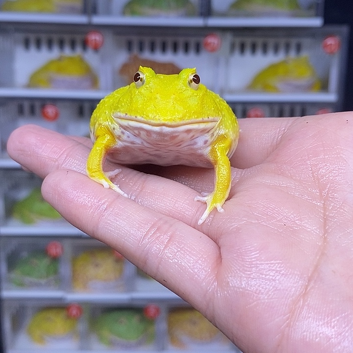 特价秒杀现货特价