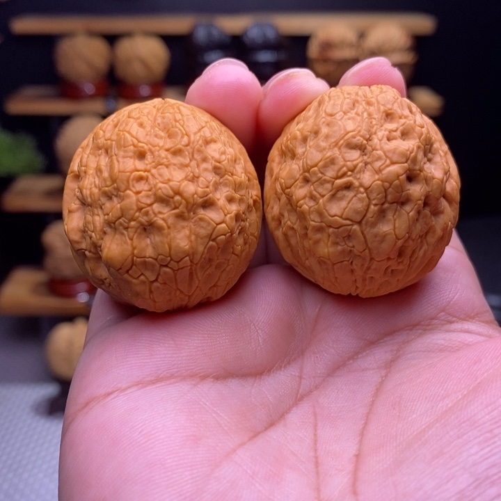 木质类云铁金丝绣球7号